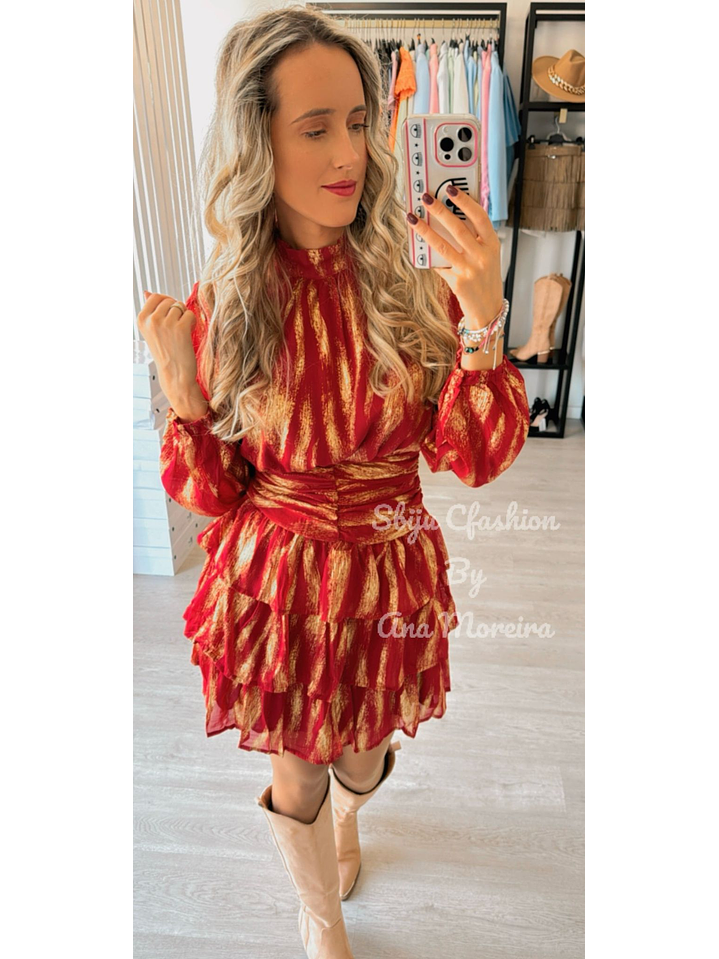 Vestido com Folhos e Detalhes Dourados 6