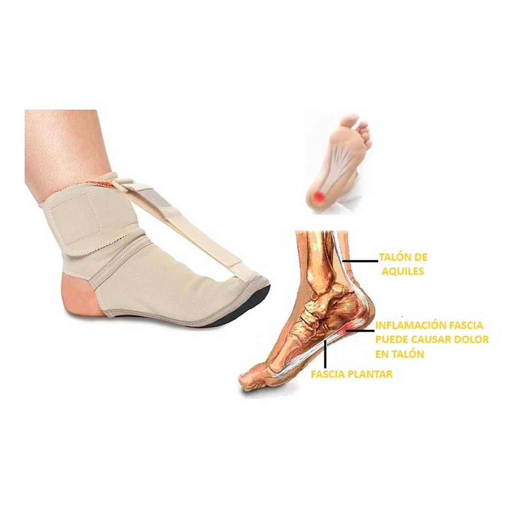 Plantilla para la Fascitis Plantar termo-mecánica cod FXRE 1