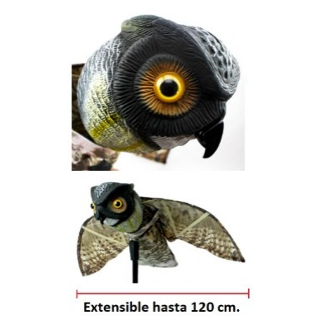 Búho Extensible Movimiento Viento 1