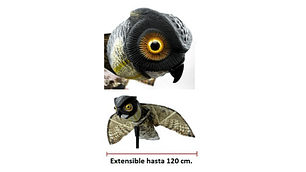 Búho Extensible Movimiento Viento