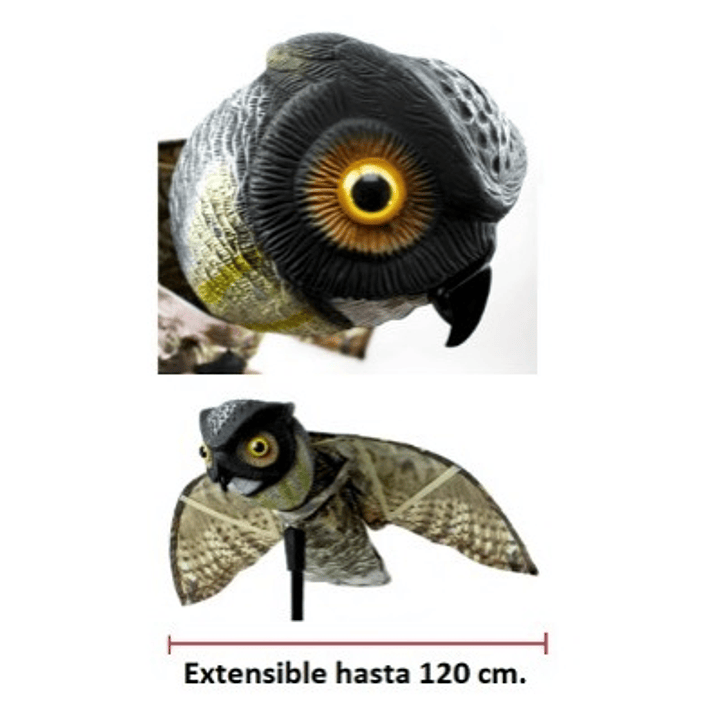 Búho Extensible Movimiento Viento 1