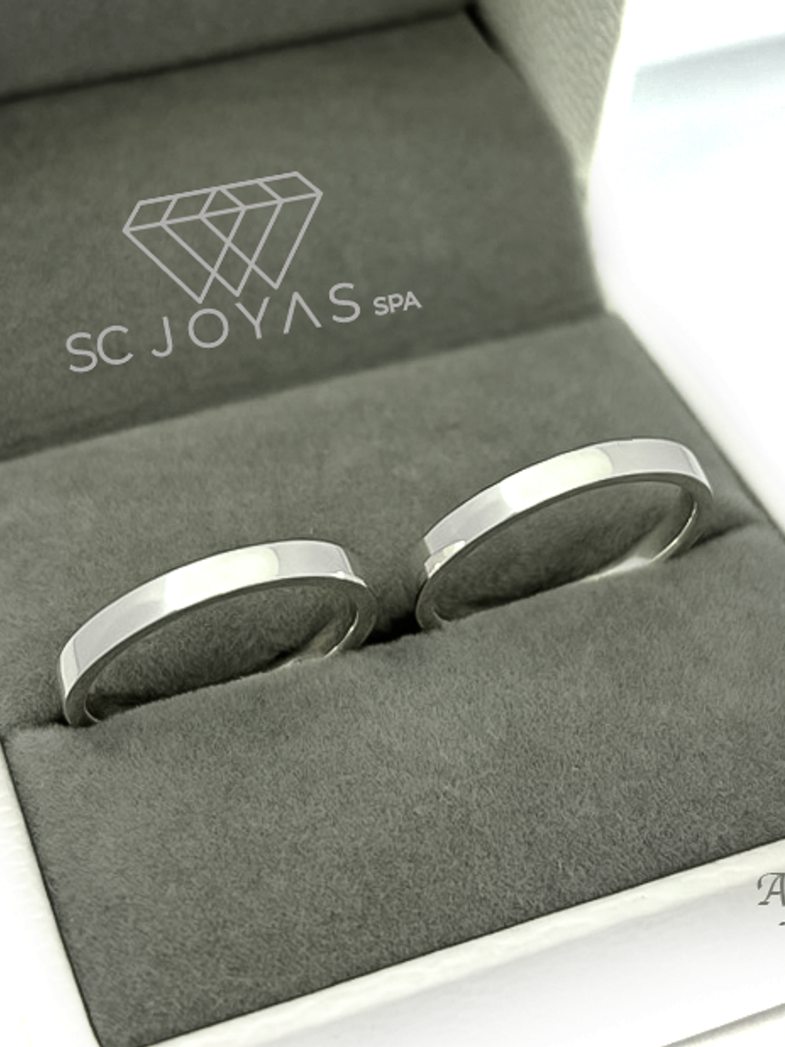 Anillos de Compromiso, ilusiones o Anillos Promesa  2