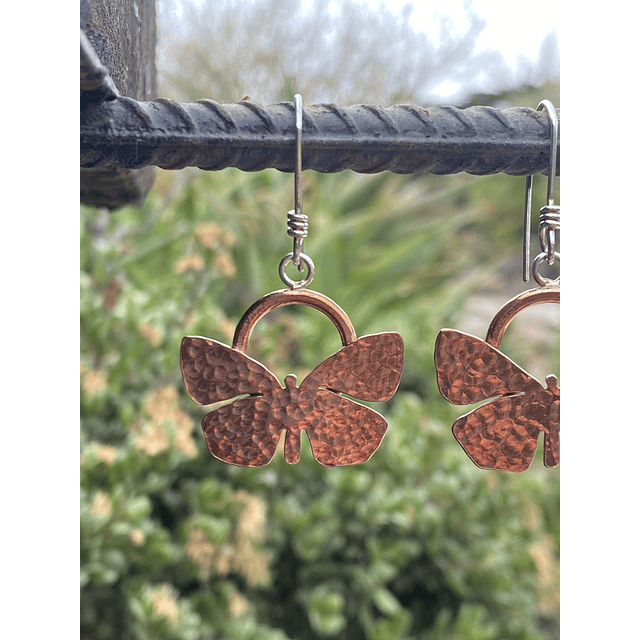 Aros Mariposa del Chagual 2