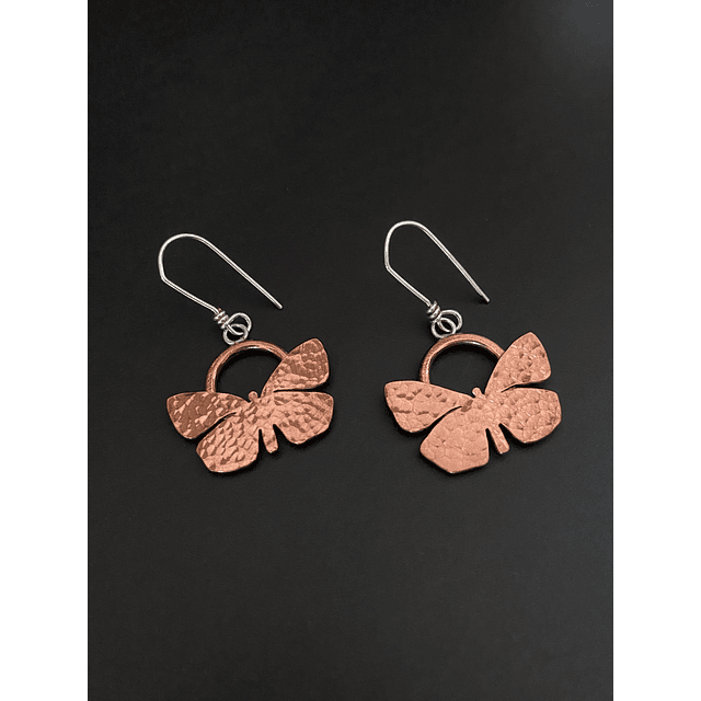 Aros Mariposa del Chagual 2