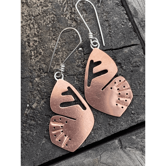 Aros Mariposa del Chagual 1