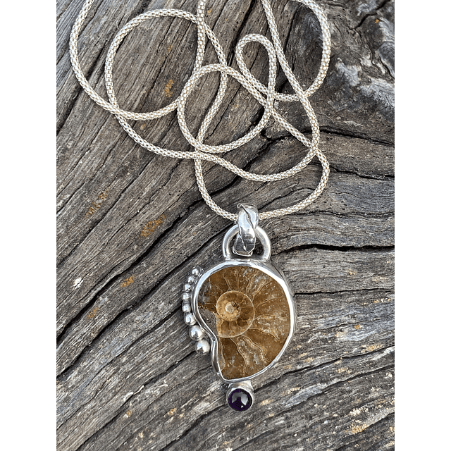 Colgante Amonite