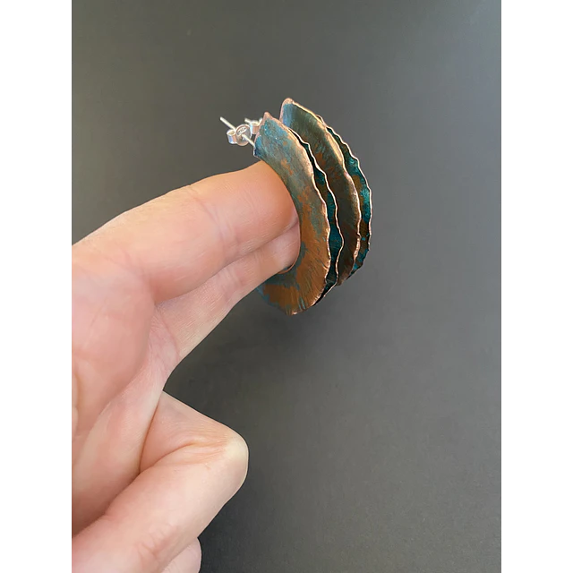 Aros Líquen 