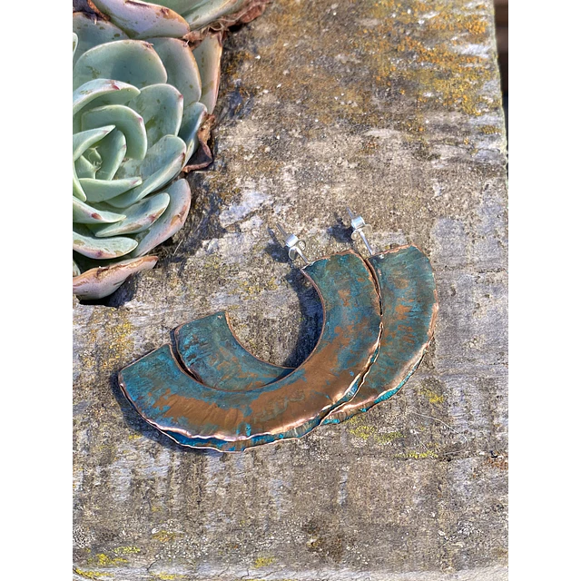 Aros Líquen 