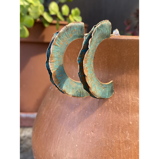 Aros Líquen 
