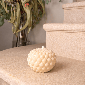 VELA ESFERA BOTÁNICA