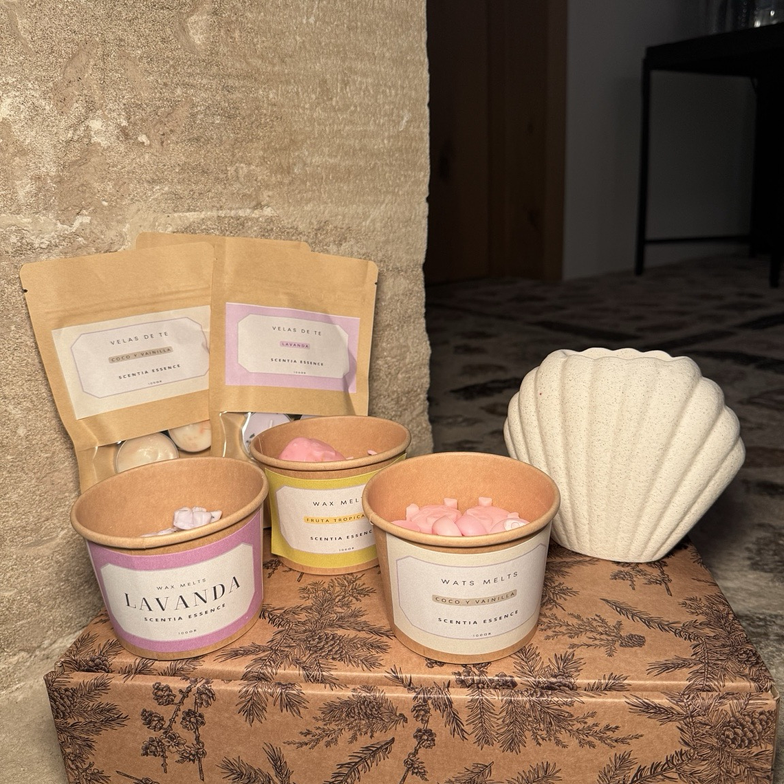 Pack quemador Concha  1