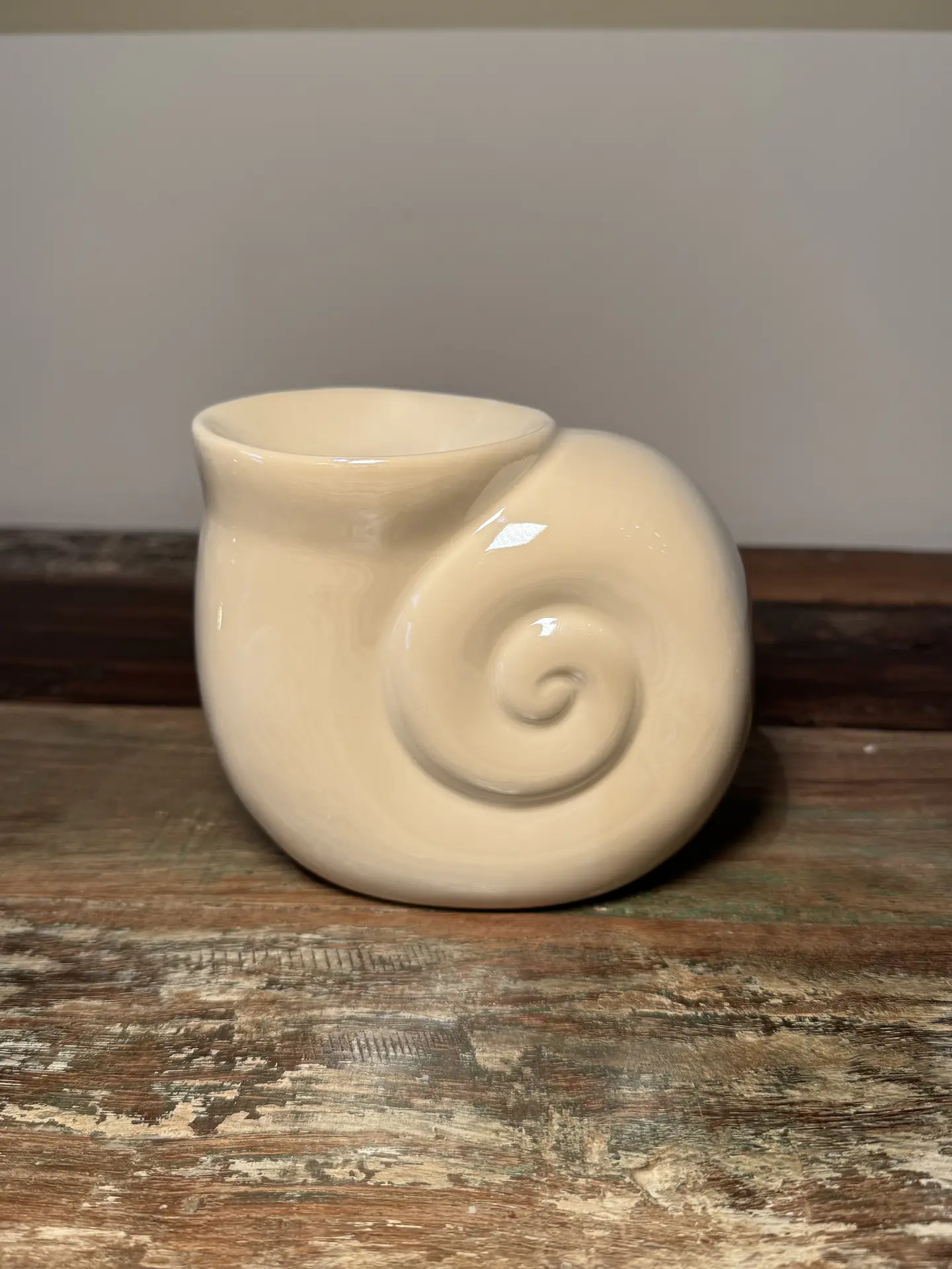 Caracola🐚 1