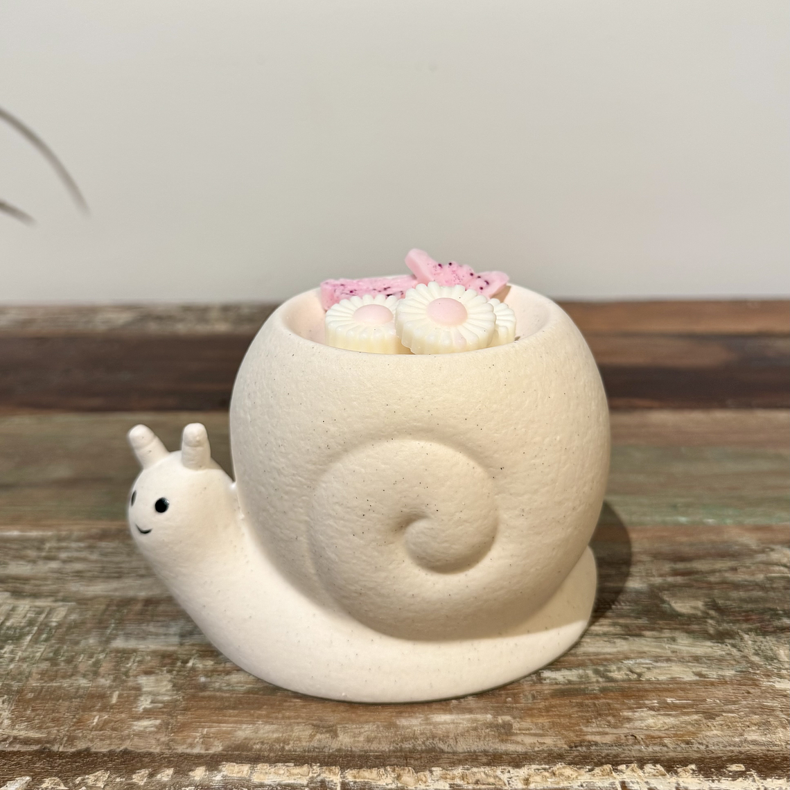 ✨ Quemador Caracol 2