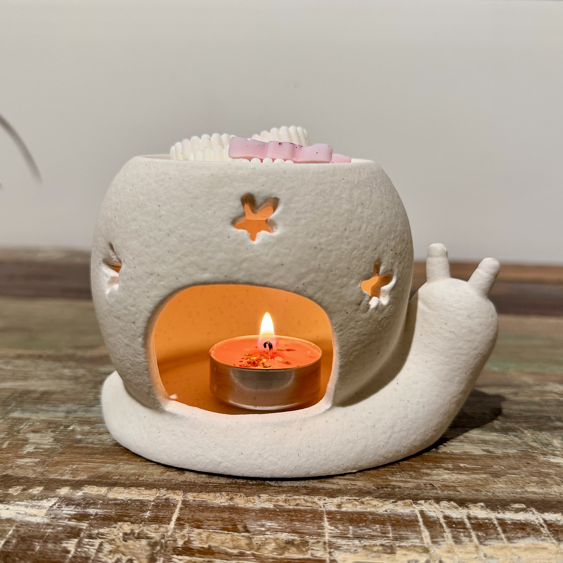 ✨ Quemador Caracol 3