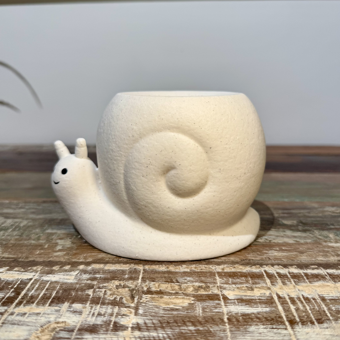 ✨ Quemador Caracol 1