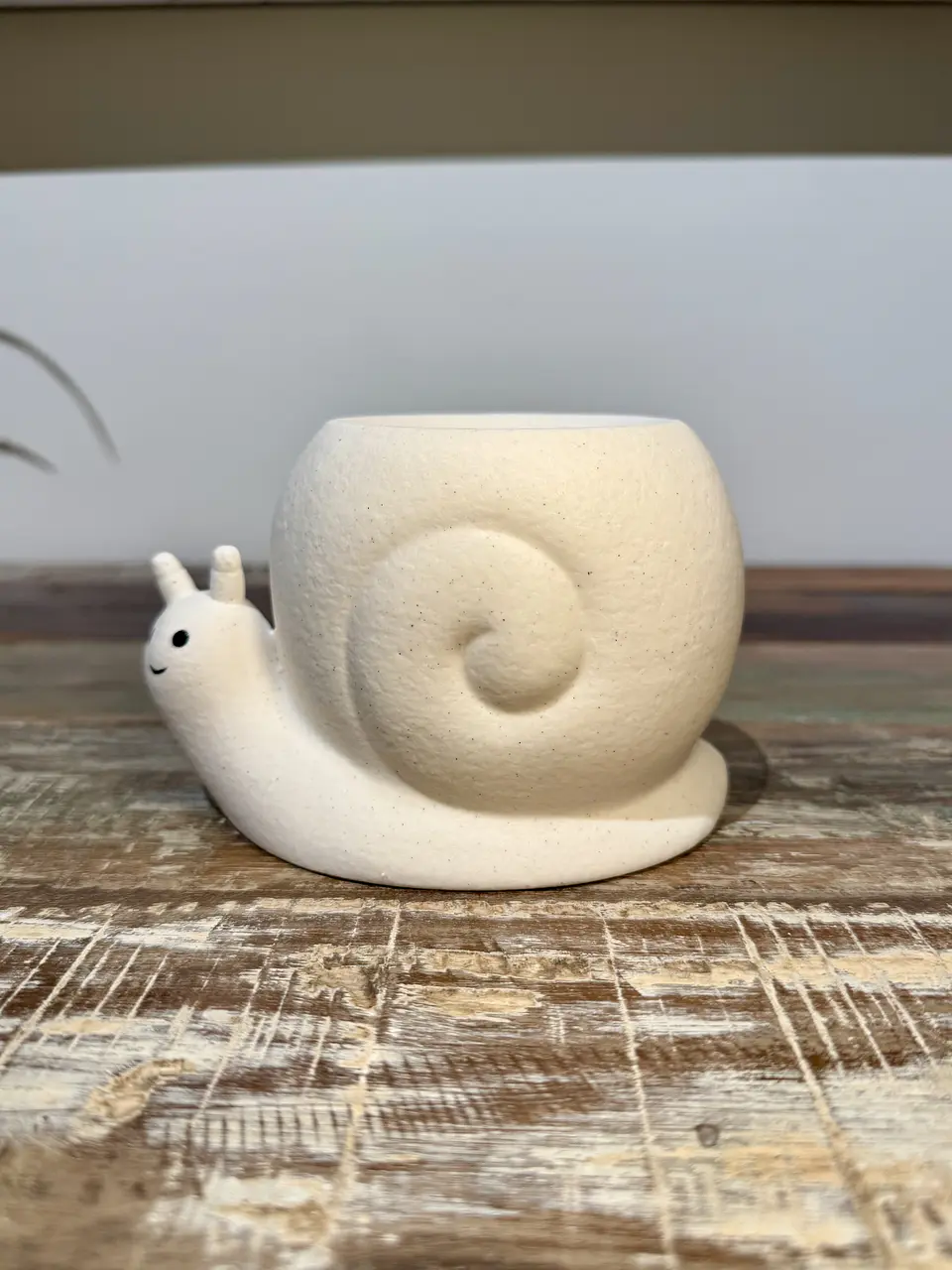 ✨ Quemador Caracol 1