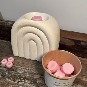 Wax Melts De Coco Y Vainilla 