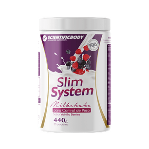 Slim System 440g Sabor Berries