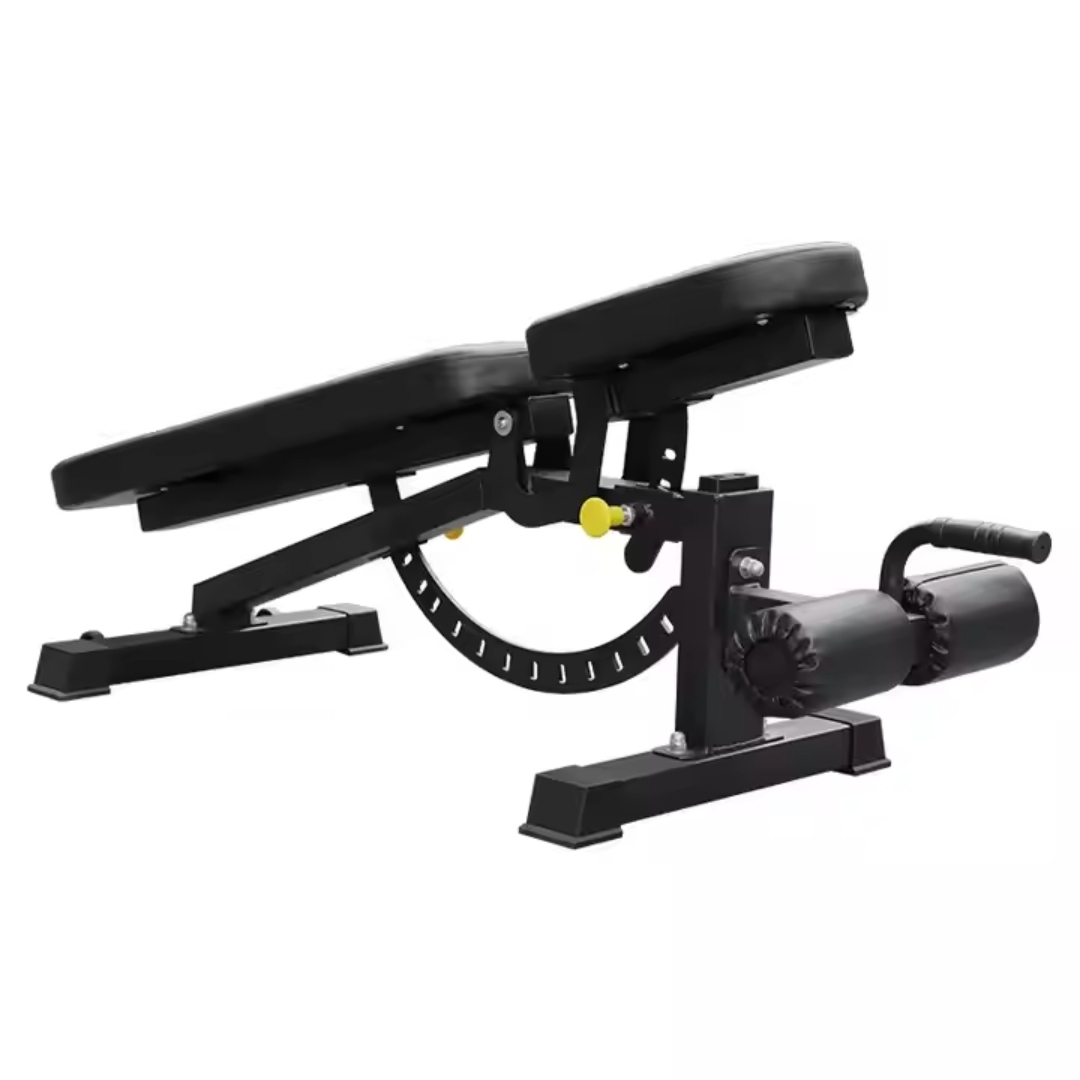 Banco Regulable + Par Mancuernas Ajustables SCORE FIT® (24 KG c/u) 3