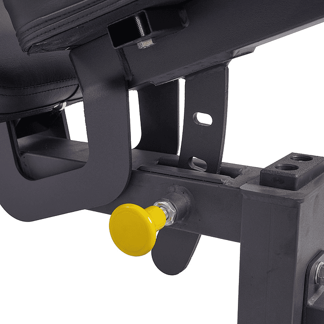 Banco Regulable SF-100 Score Fit® 5