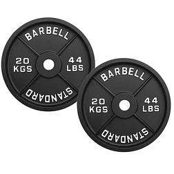 Par Discos Barbell Standard 20 Kg - Miniatura 1