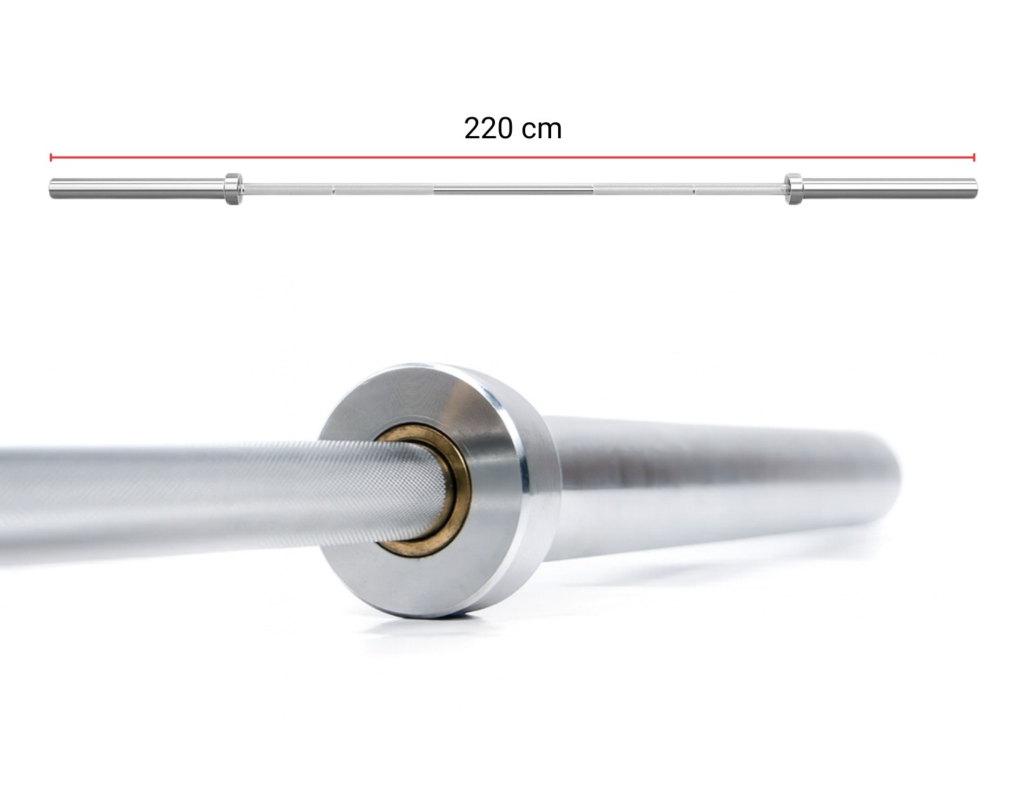 Rack Squat Plegable + Banco + Barra 20kg + 50kg Discos 2