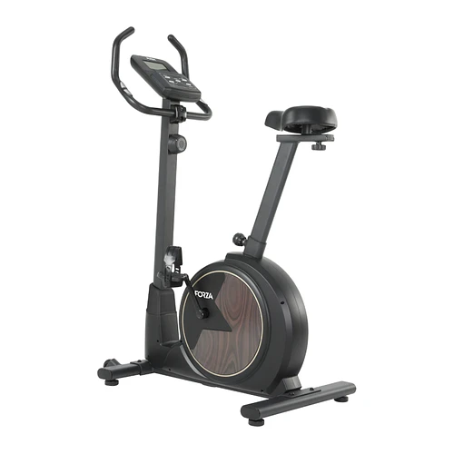 Bicicleta Estática Magnética Home FZLUX Forza