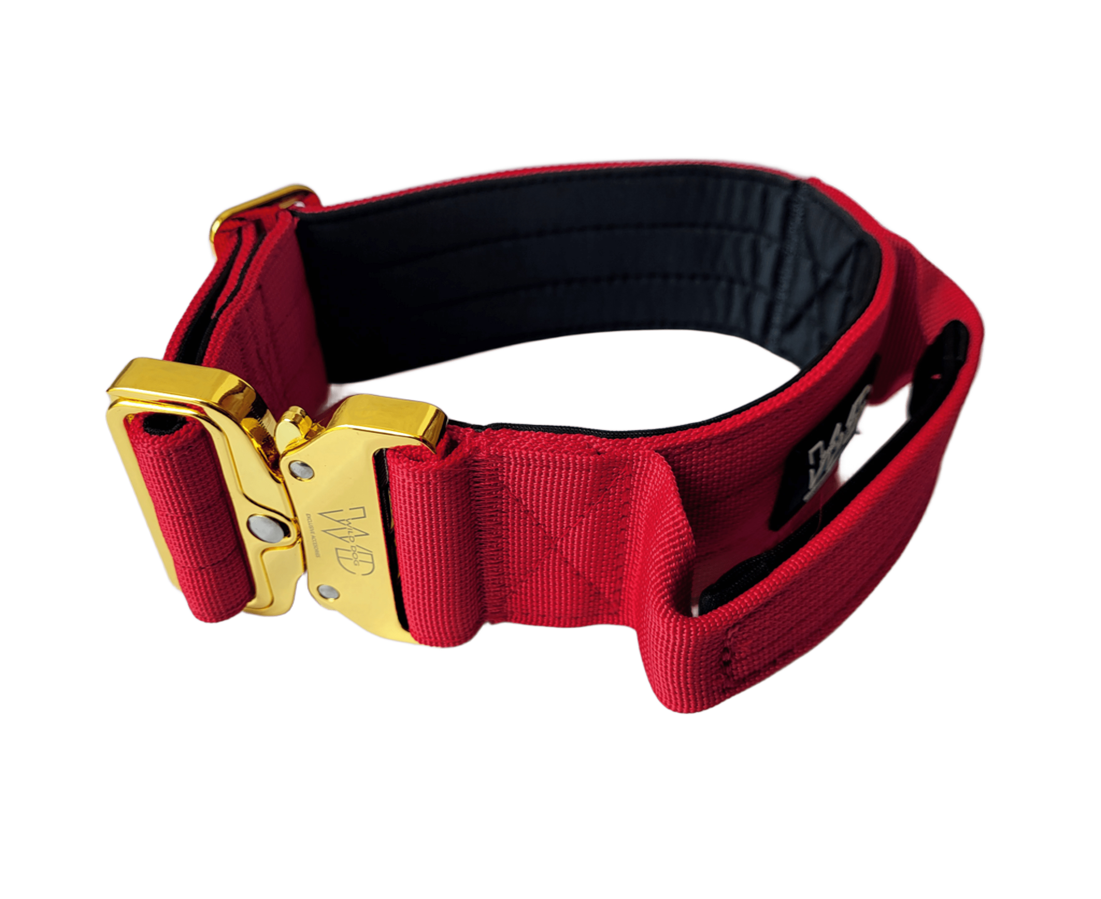 Collar Táctico con Asa WILD DOG 1