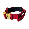 Collar Táctico con Asa WILD DOG