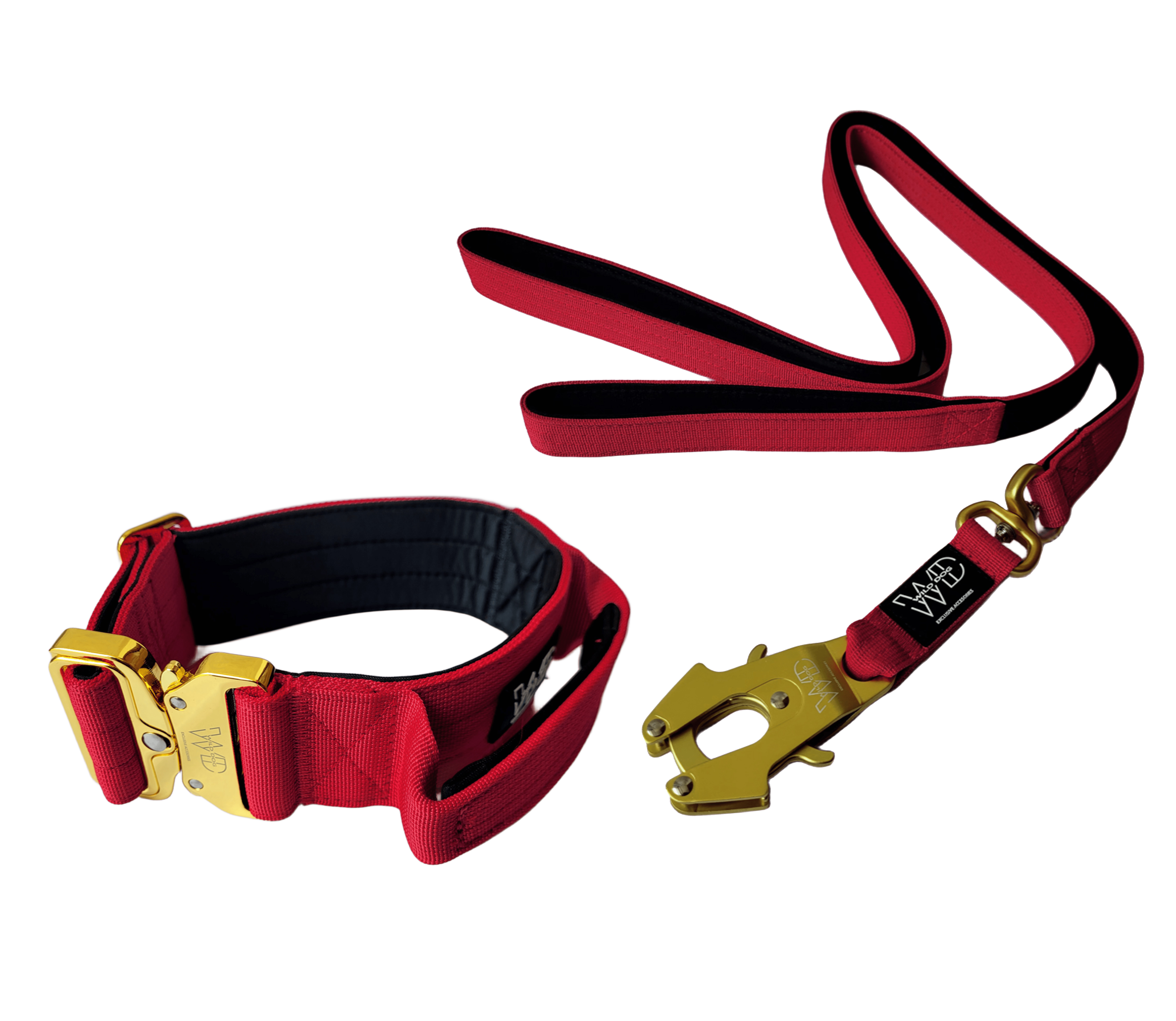 Pack Collar + Correa WILD DOG 2