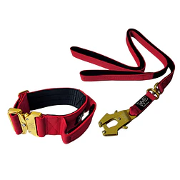 Pack Collar + Correa WILD DOG - Miniatura 2