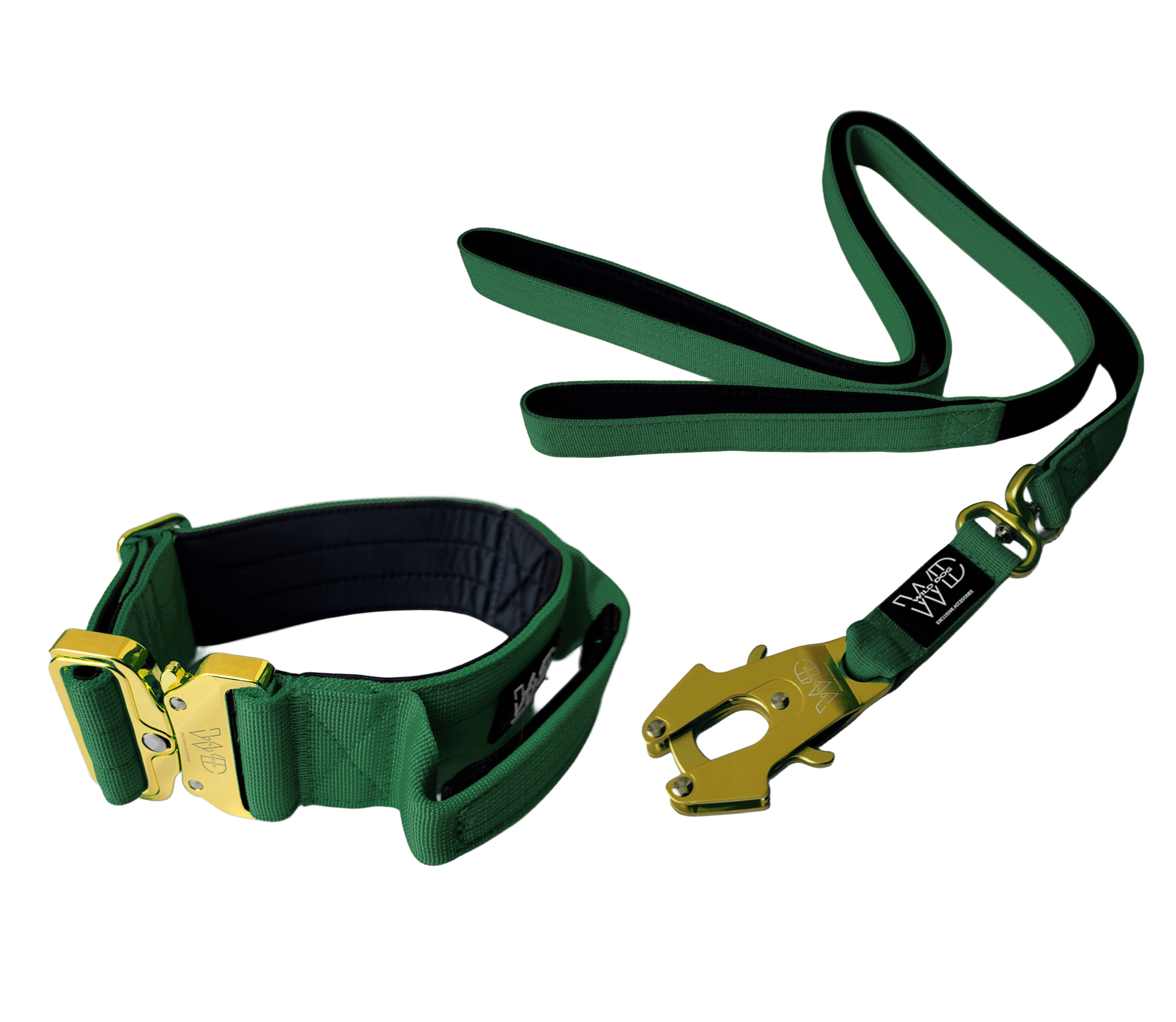 Pack Collar + Correa WILD DOG 4