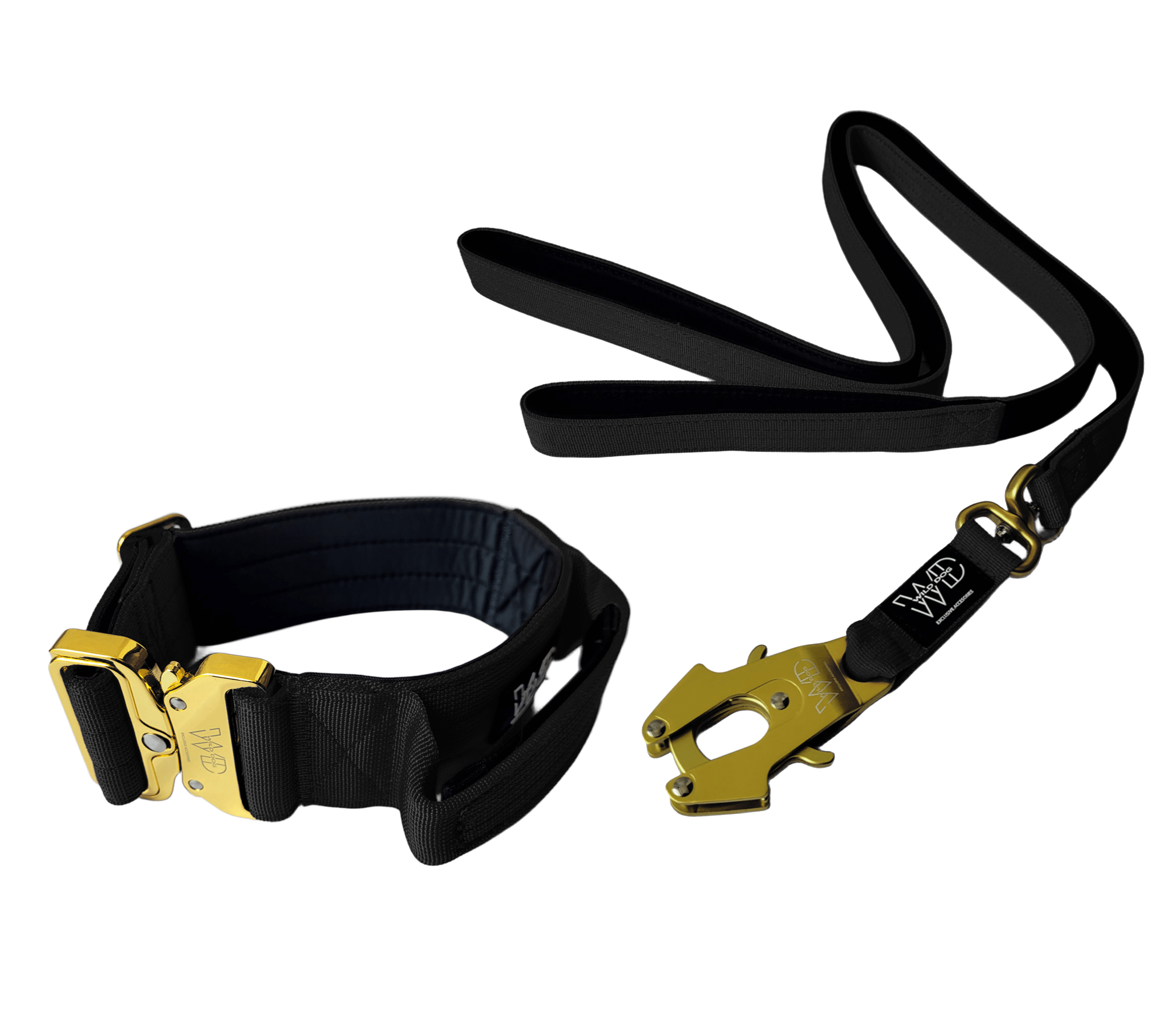 Pack Collar + Correa WILD DOG 5
