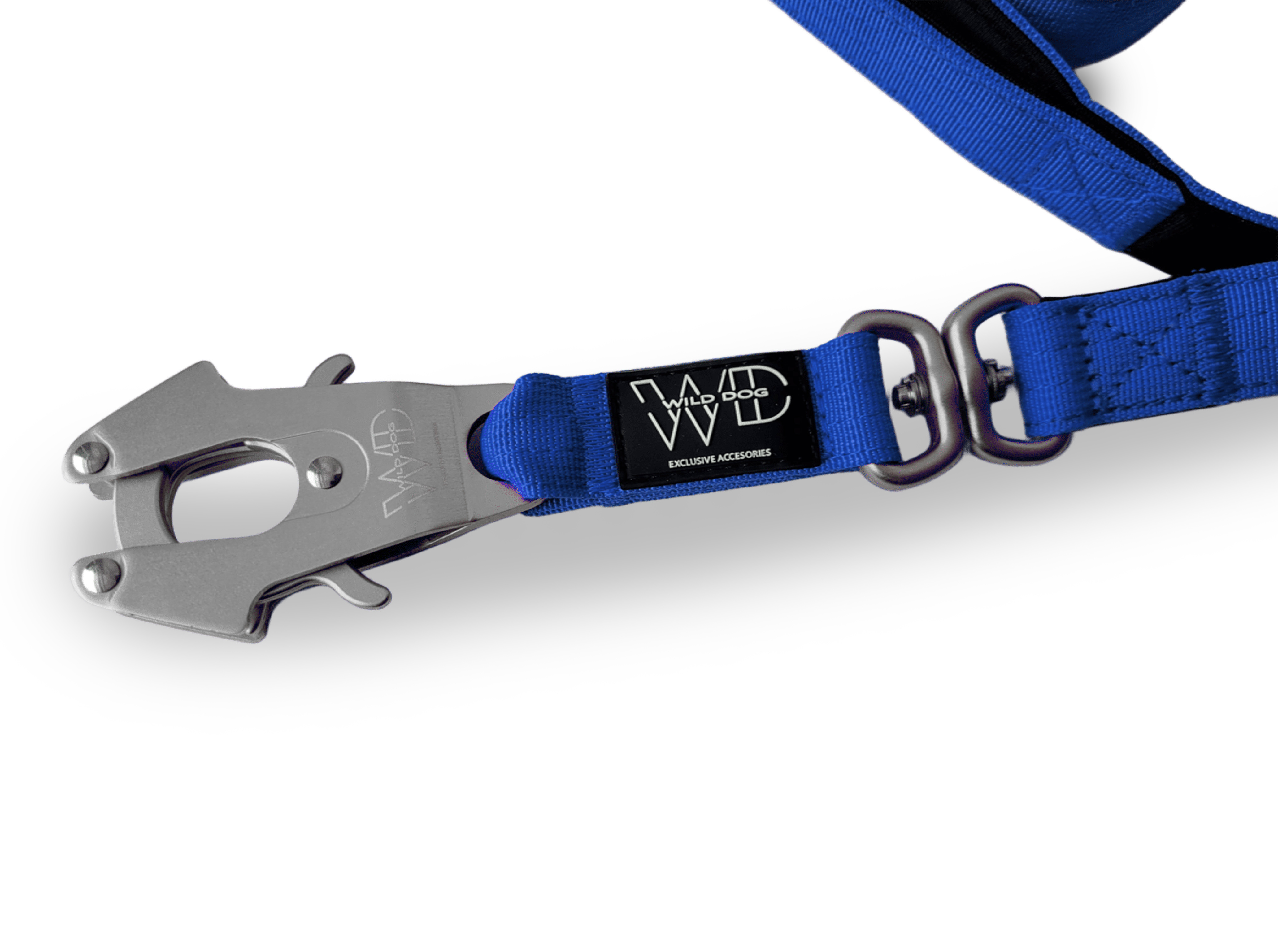 Correa WILD DOG 2 m × 2,5 cm 2
