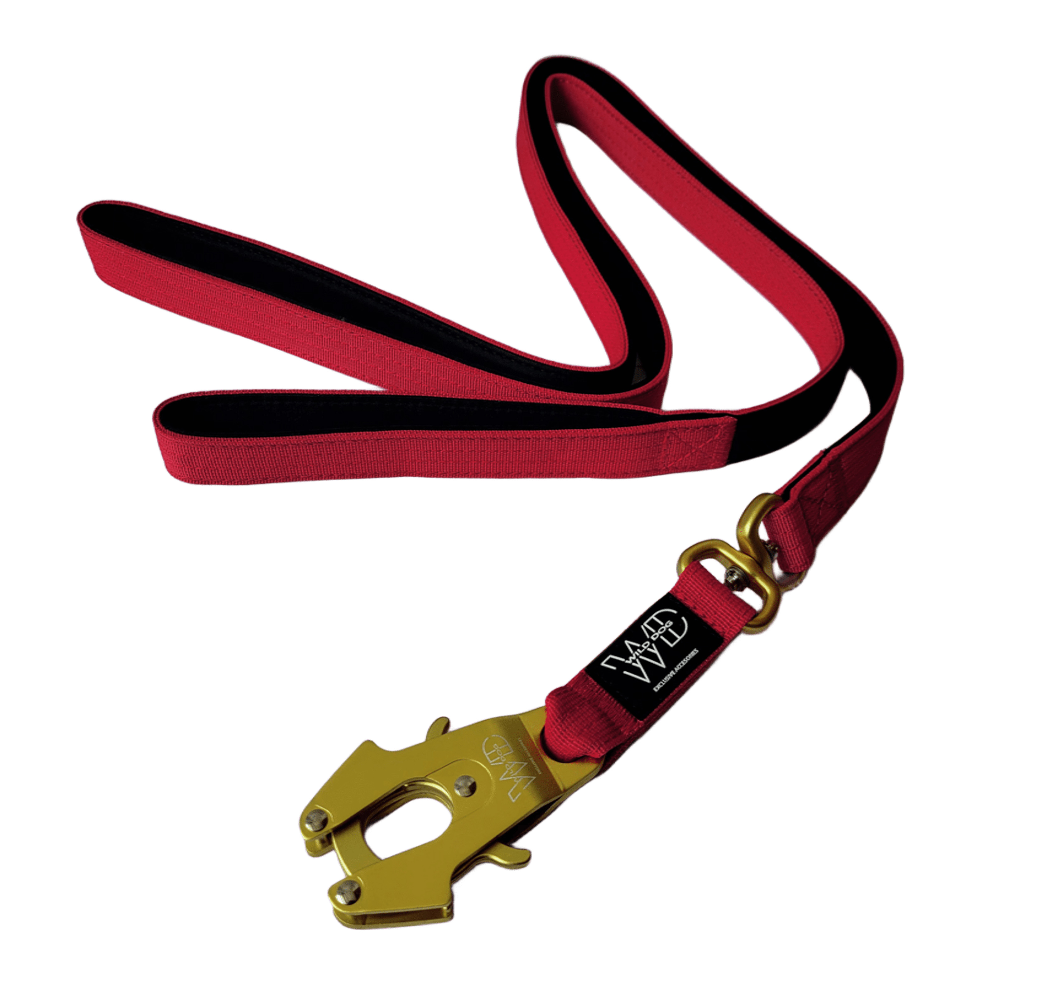 Correa WILD DOG 2 m × 2,5 cm 4