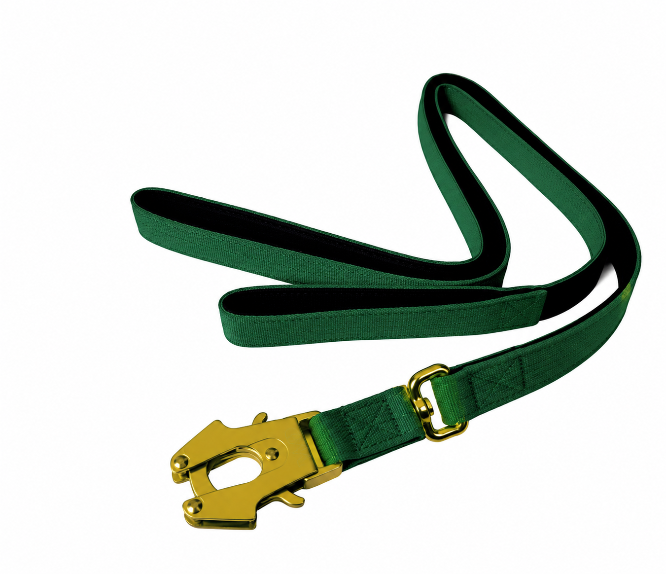 Correa WILD DOG 2 m × 2,5 cm 5
