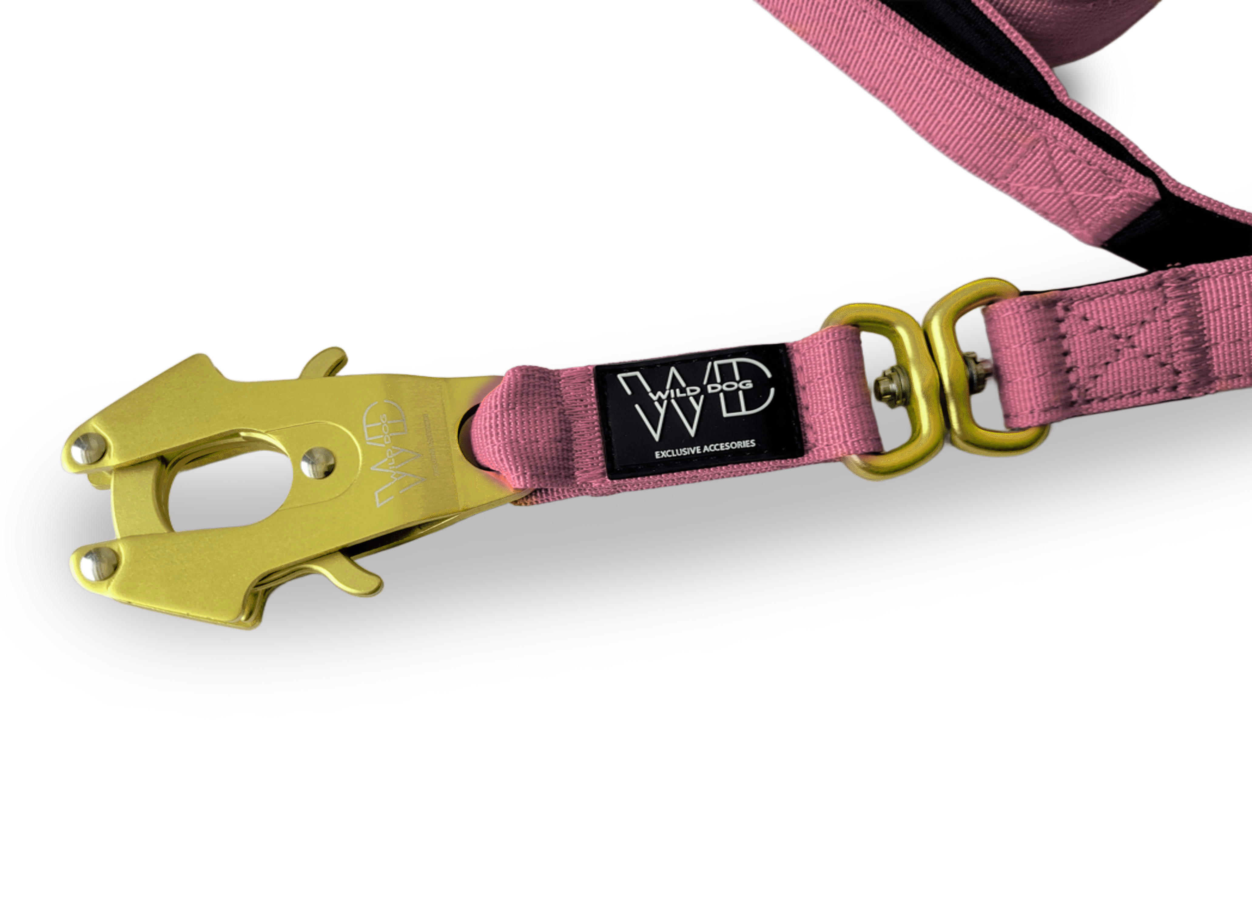 Correa WILD DOG 2 m × 2,5 cm 6