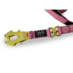 Correa WILD DOG 2 m × 2,5 cm - Miniatura 6