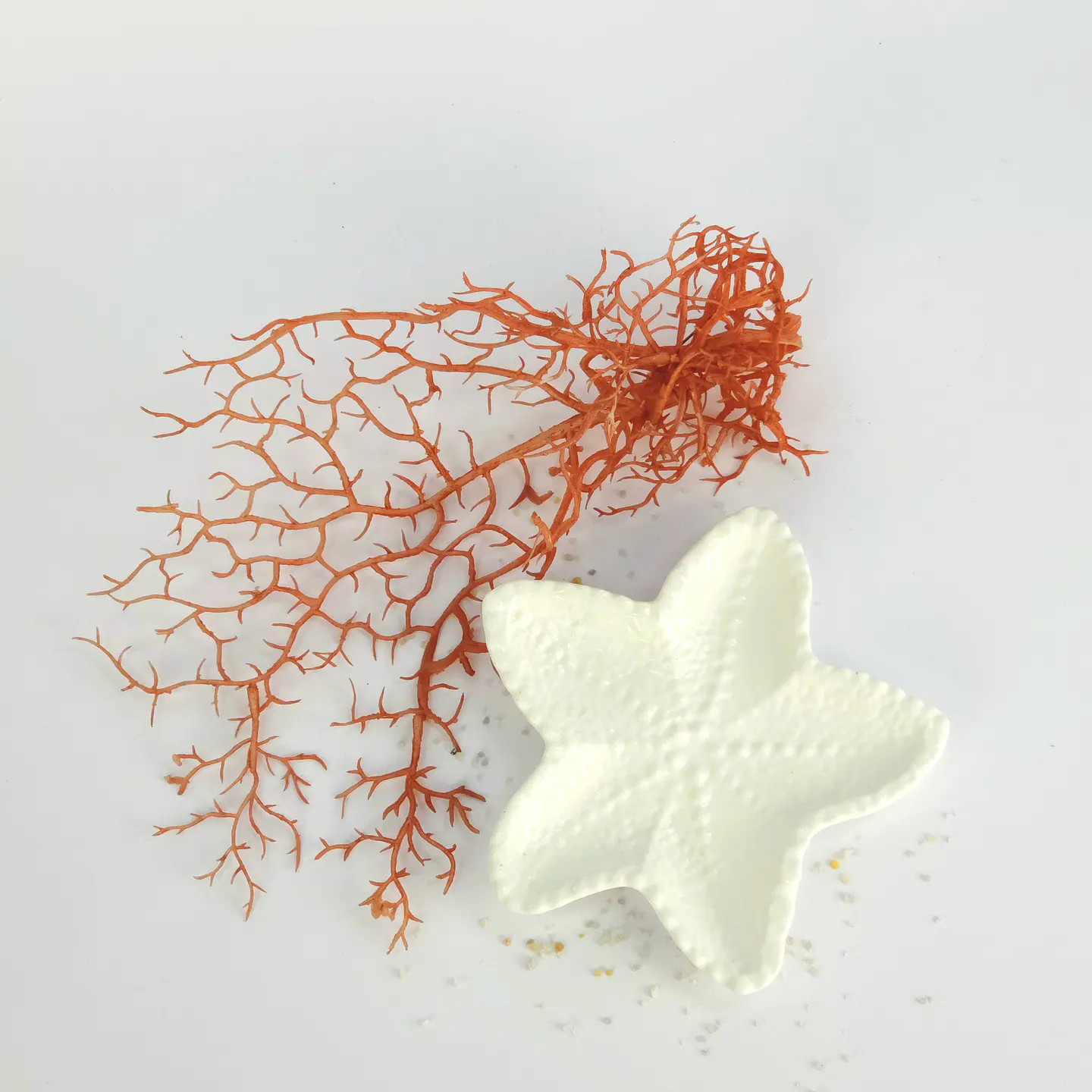 SÉRIE MARINHA ESTRELA MAR GESSO AMTZ 3