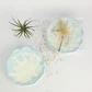 AURA MARINHA BASE GESSO AMTZ - Thumbnail 4