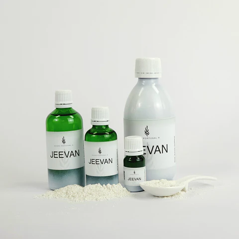 JEEVAN FRAGRÂNCIA DE GESSO SEMI-HIDRATADO