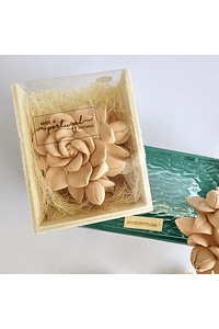 GARDENIA BOX