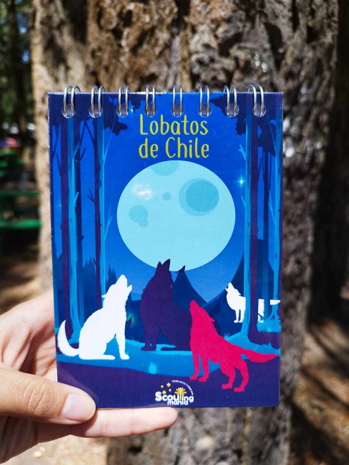 Croquera Lobatos