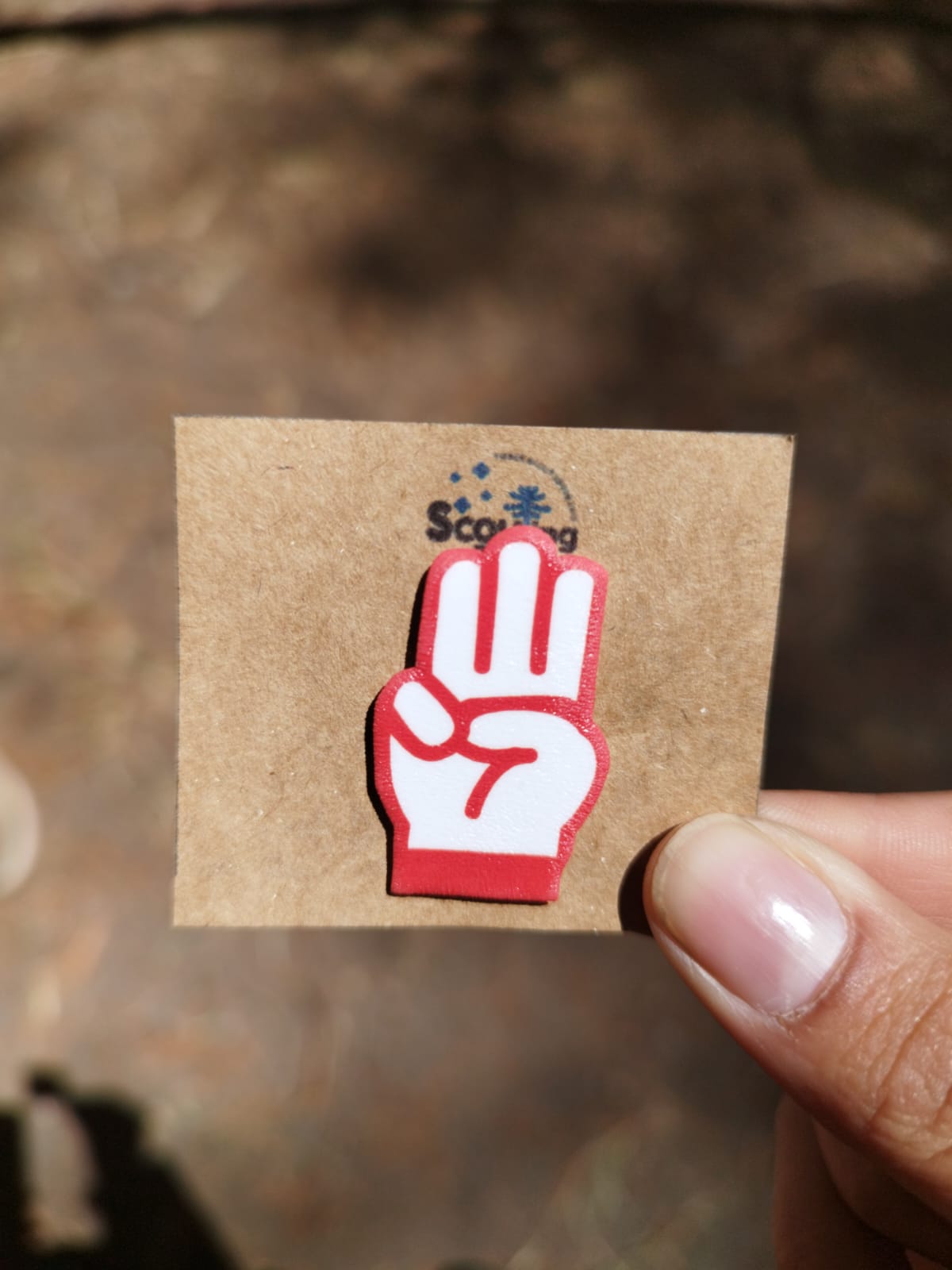 Pin Saludo Caminantes