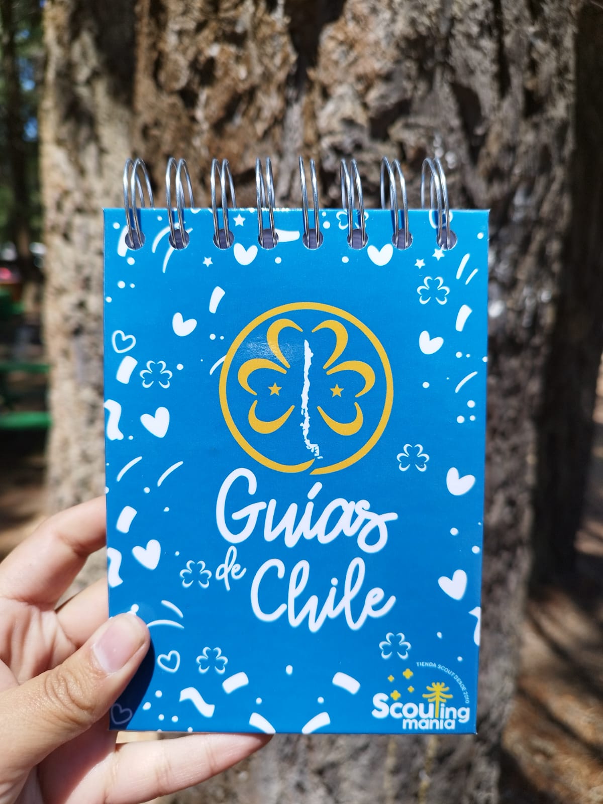 Croquera Guías