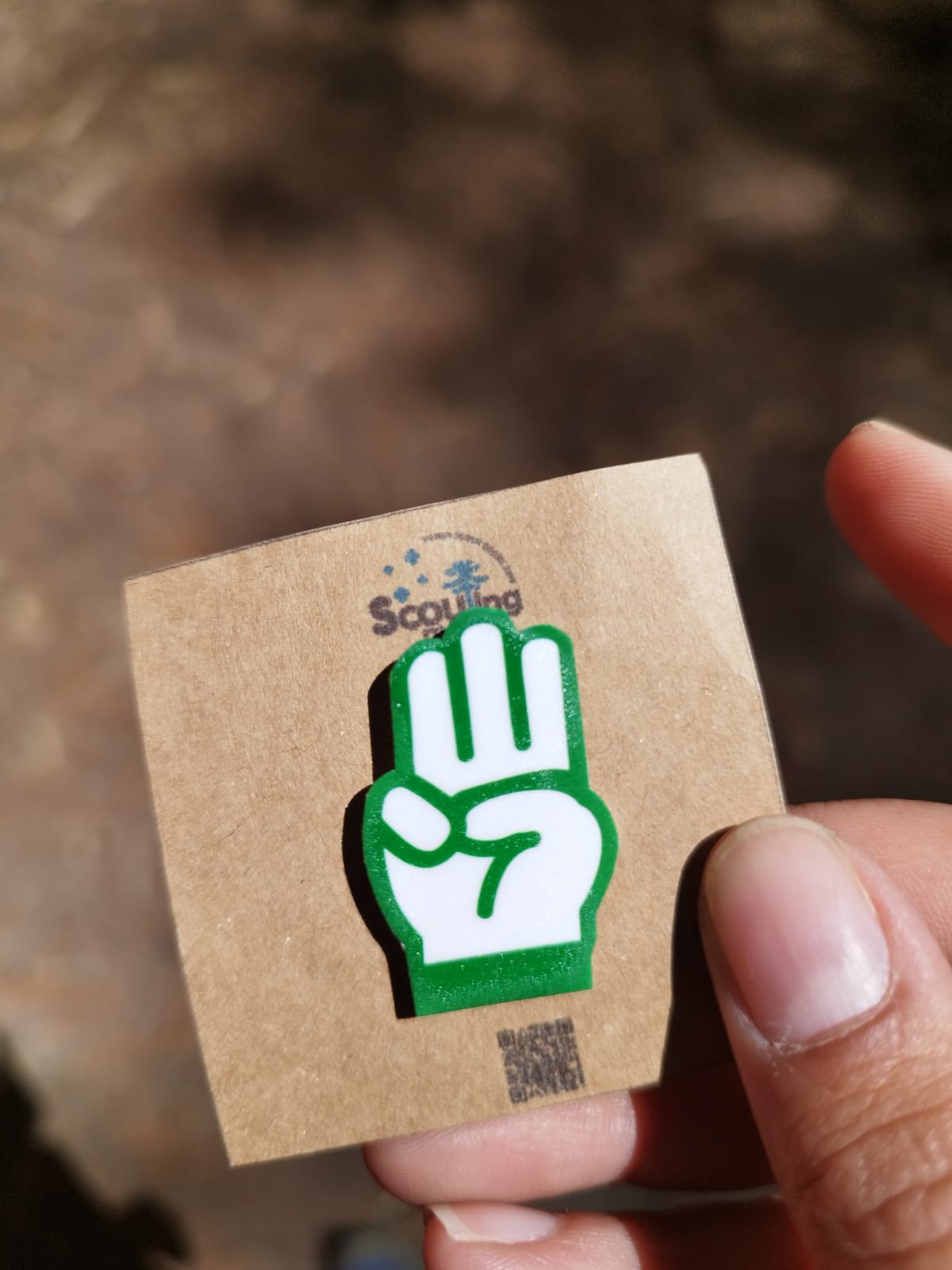 Pin Saludo Scout