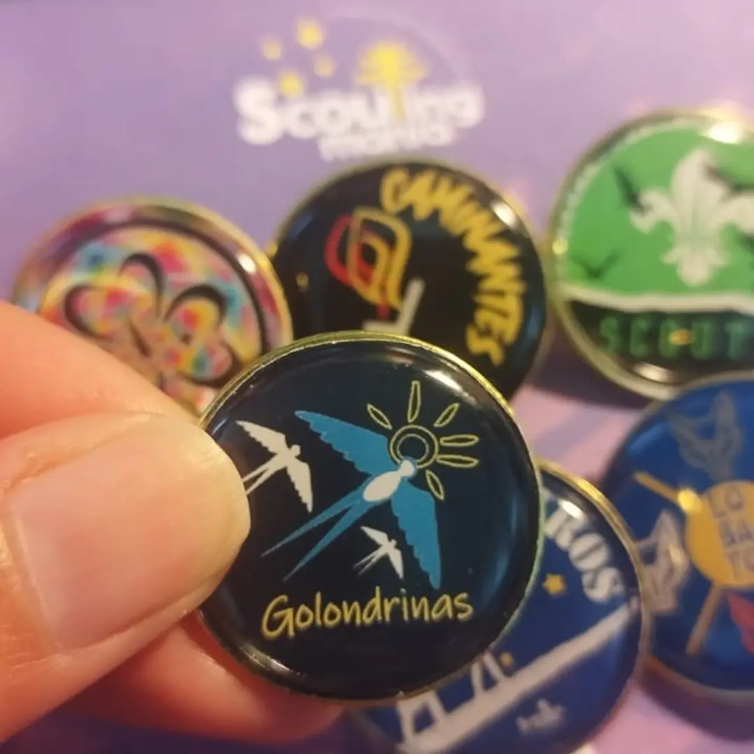 PIN METALICO GOLONDRINAS 1