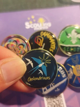 PIN METALICO GOLONDRINAS