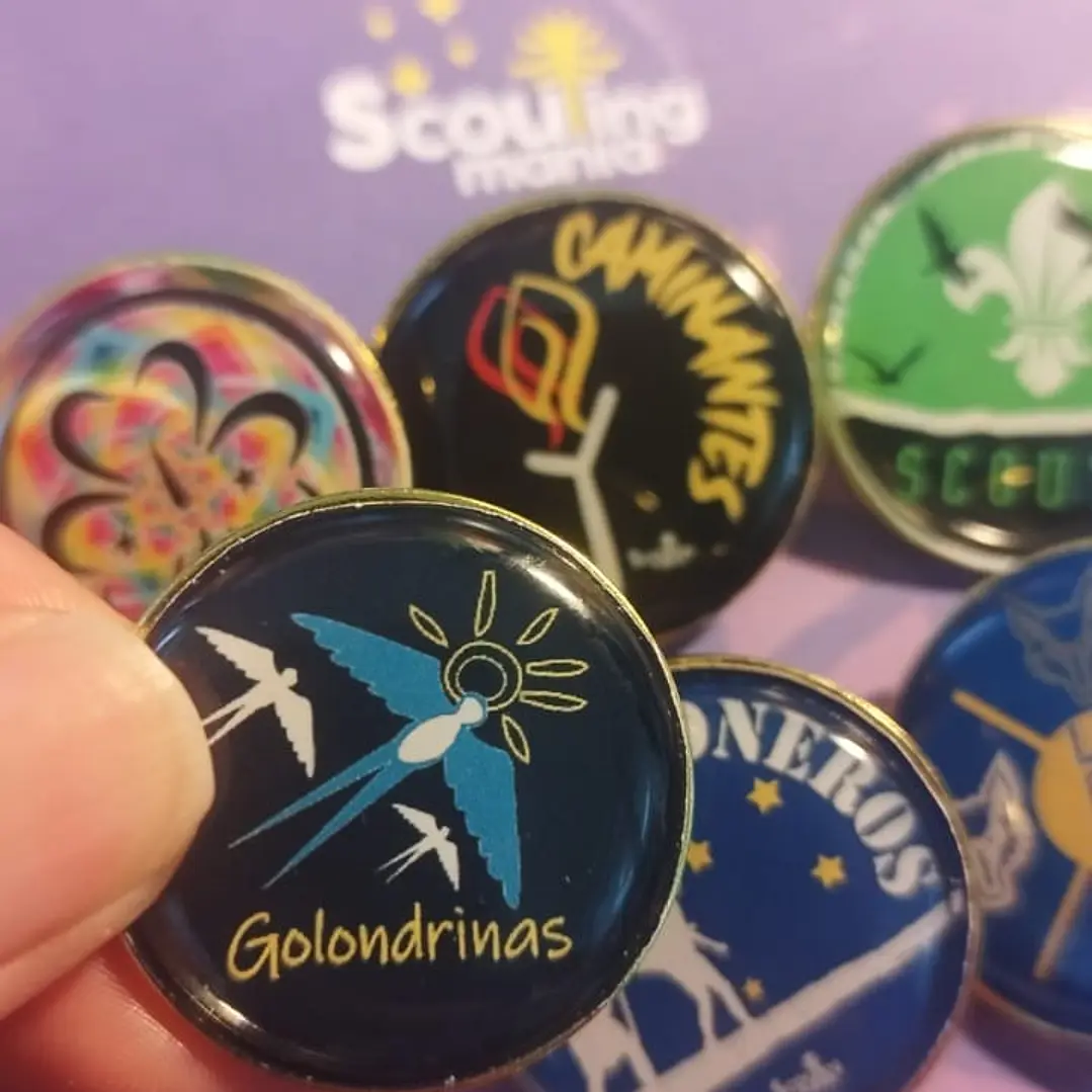 PIN METALICO GOLONDRINAS 2