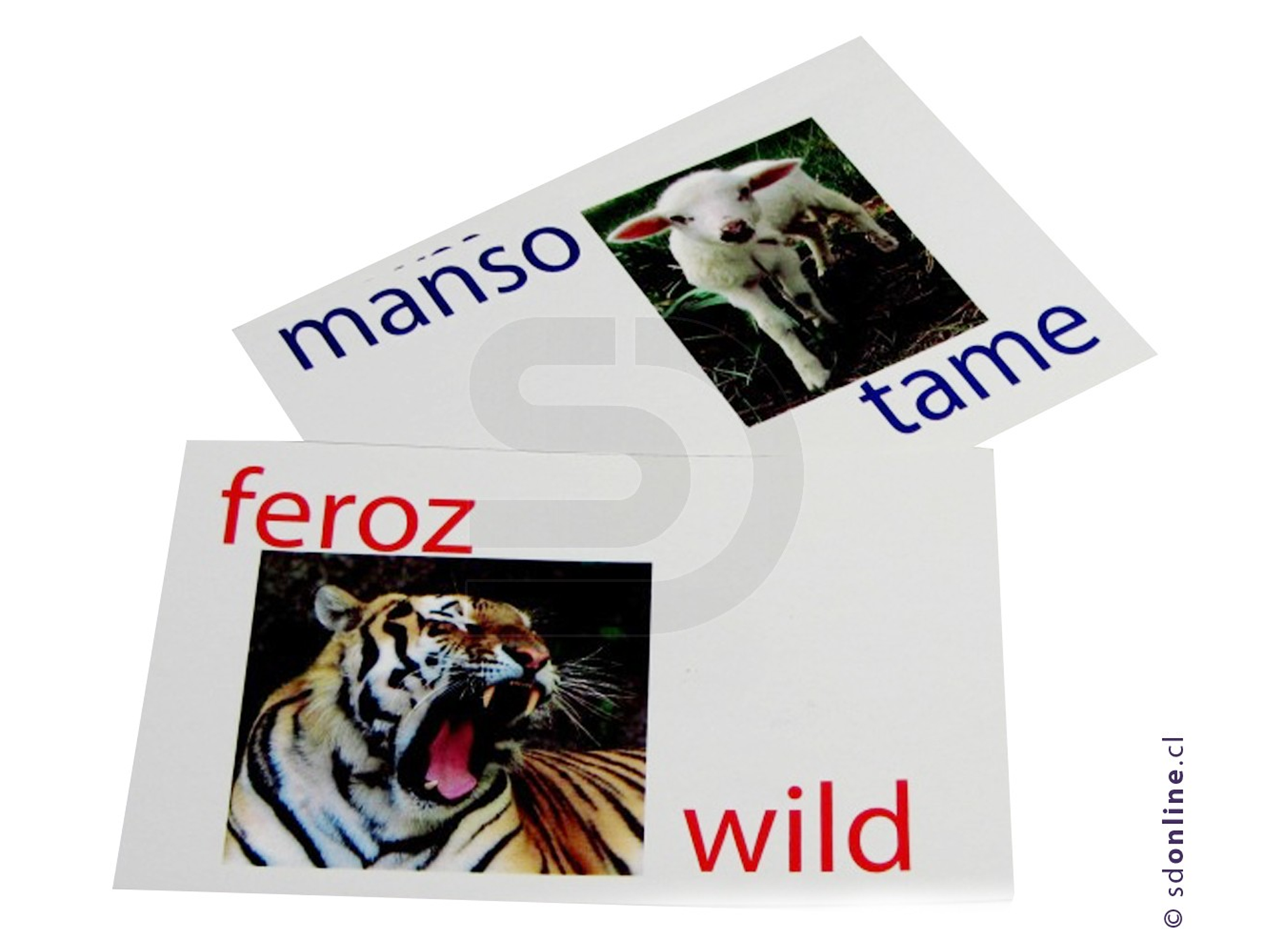 Naipe opuestos español ingles 1